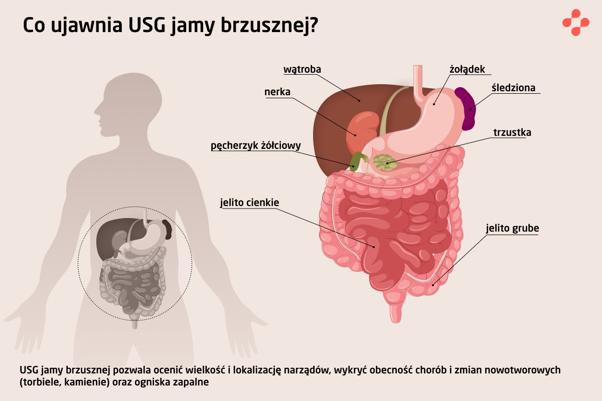 Co ujawnia USG jamy brzusznej?